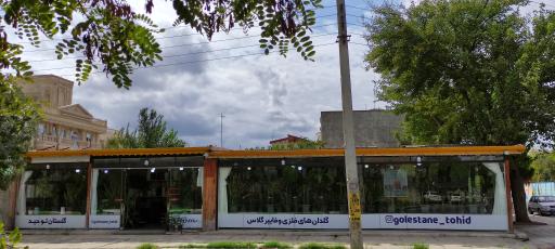 عکس گلخانه گلستان توحید