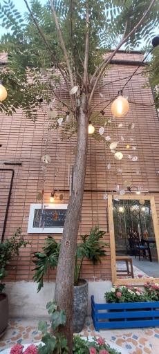 عکس کافه باکارا