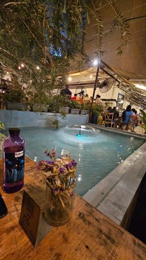 کافه باکارا