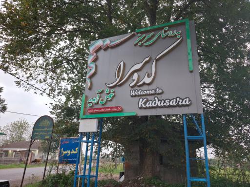 کدوسرا