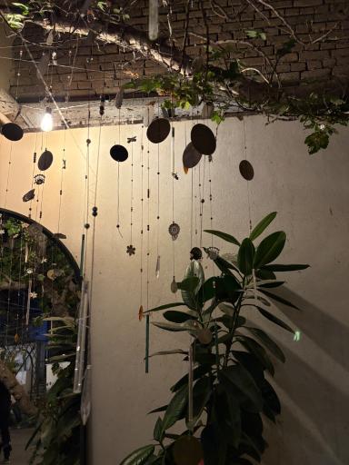 عکس کافه باکارا