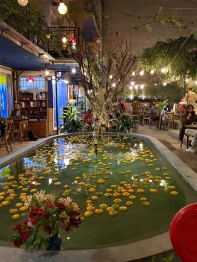 عکس کافه باکارا