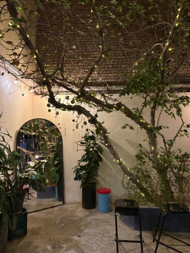 عکس کافه باکارا