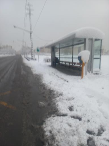 عکس  شریعتی 47