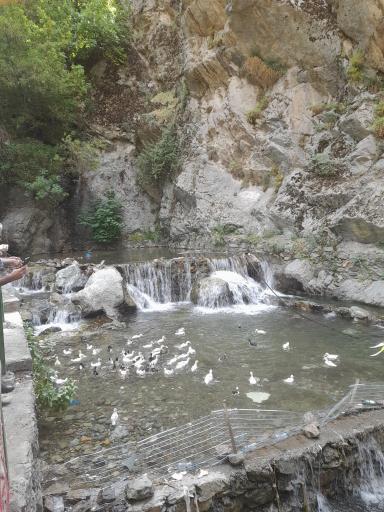 عکس شمشک و دربندسر