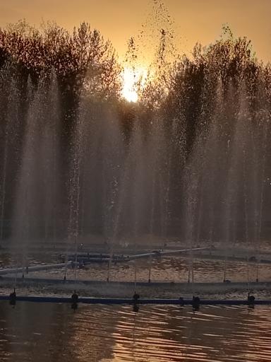 عکس آبنمای بزرگ پارک ملت