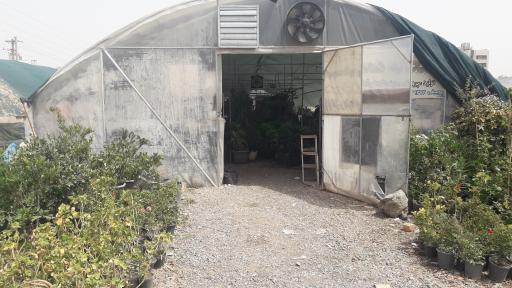 عکس گلخانه همدلی