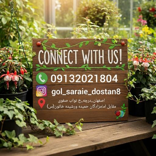 عکس گلسرای دوستان