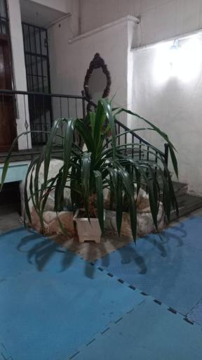 عکس سالن مطالعه لیان