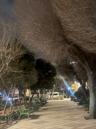 عکس بوستان کوکب