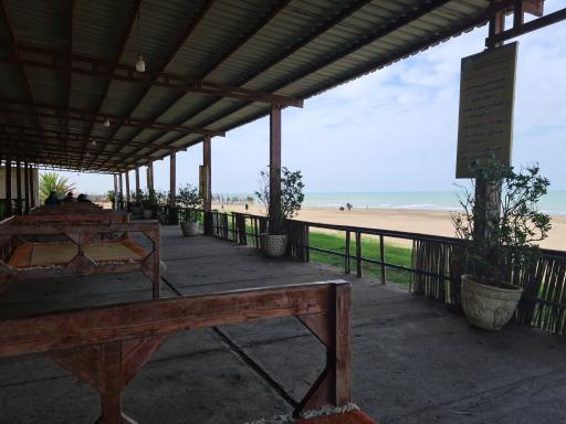 عکس چایخانه ساحلی صفا