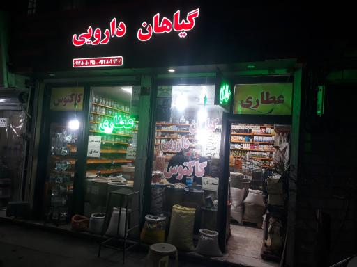 عکس عطاری کاکتوس