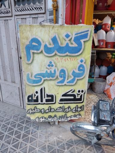 عکس گندم فروشی تک دانه 