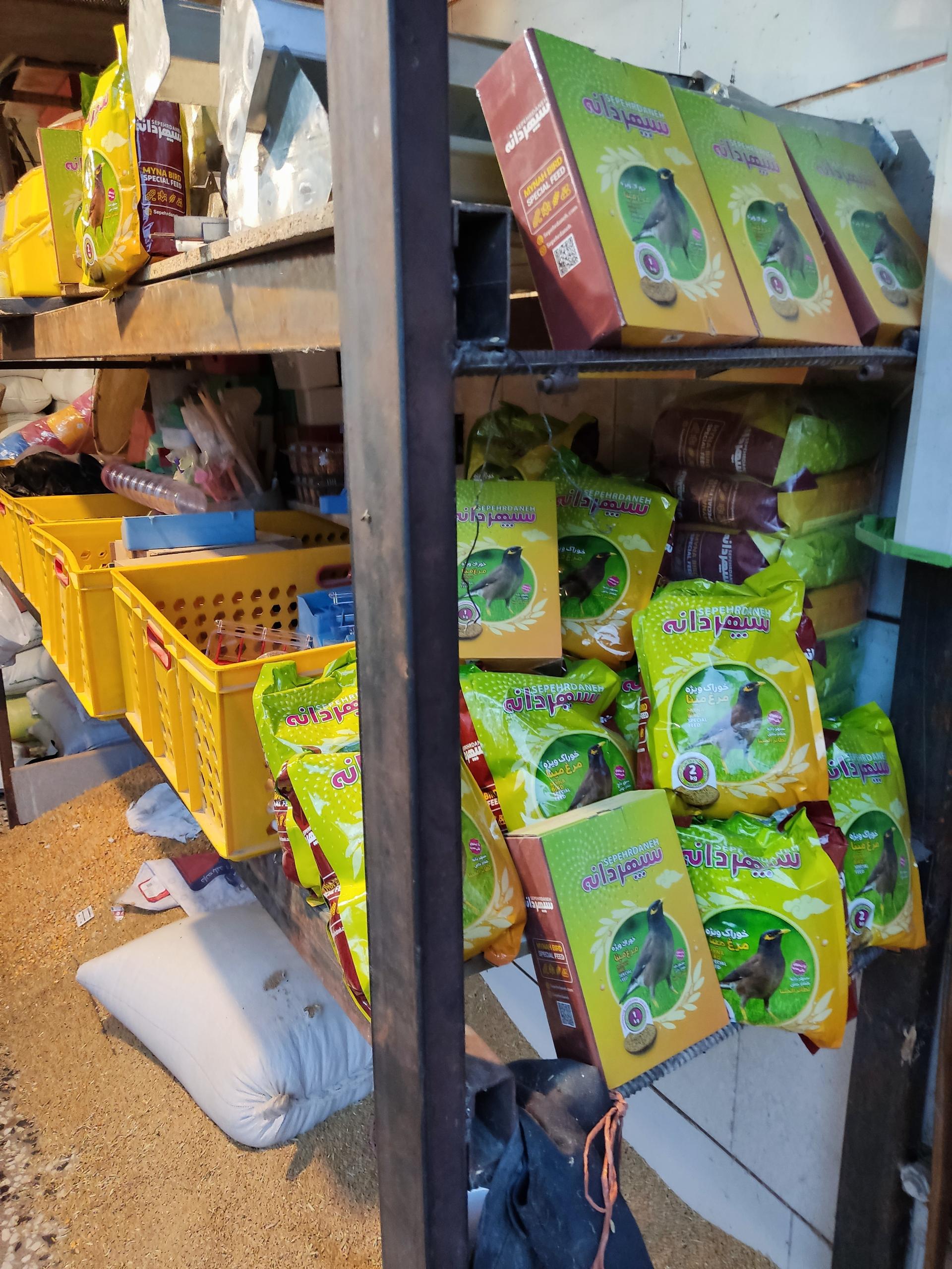 عکس گندم فروشی تک دانه 