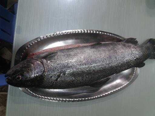 عکس غذای محلی پدر