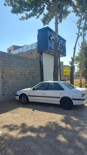 عکس هایپر کالای ساختمانی درویشی 