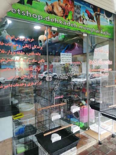 عکس پت شاپ منقار کج ها