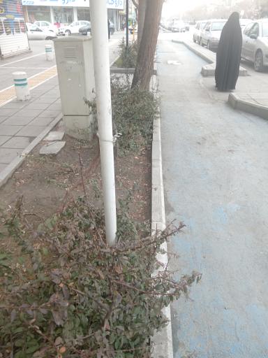 عکس ایستگاه اتوبوس ابوطالب 25