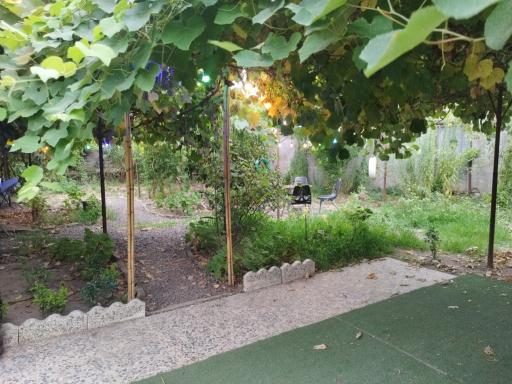 عکس کافه خونه ما