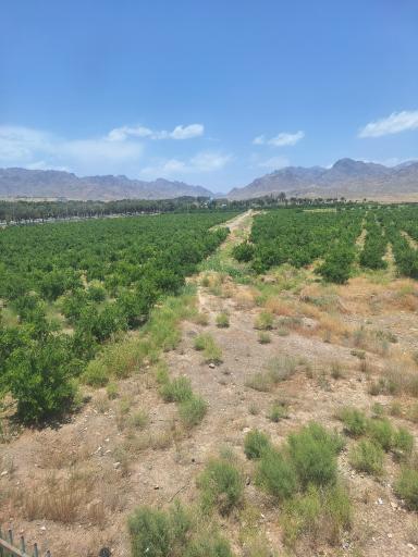 عکس مجتمع آموزشی فرهنگی گردشگری پارادایس