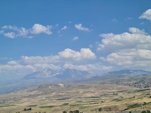 عکس کرکشه