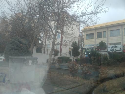 عکس پیرایش ماریو