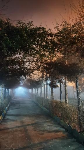 عکس مجتمع تفریحی و اقامتی نرگس