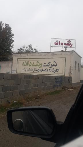 عکس رشد دانه