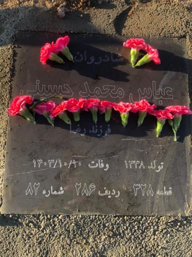 عکس مزار عباس محمدحسینی