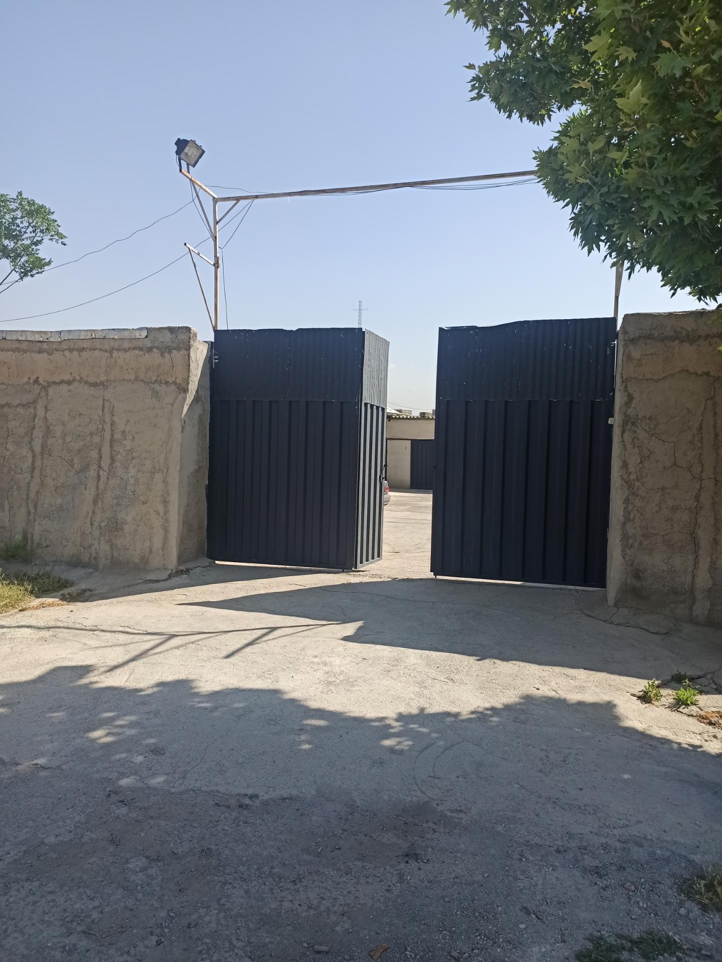 عکس بیکا چوب