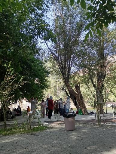 عکس مارکده
