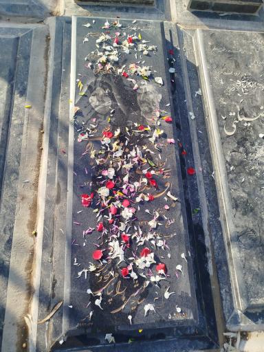 عکس مزار کربلایی باقر مداحی و همسر