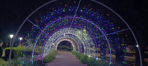 عکس پارک شهرک نفت