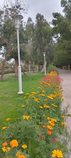 عکس پارک شهرک نفت