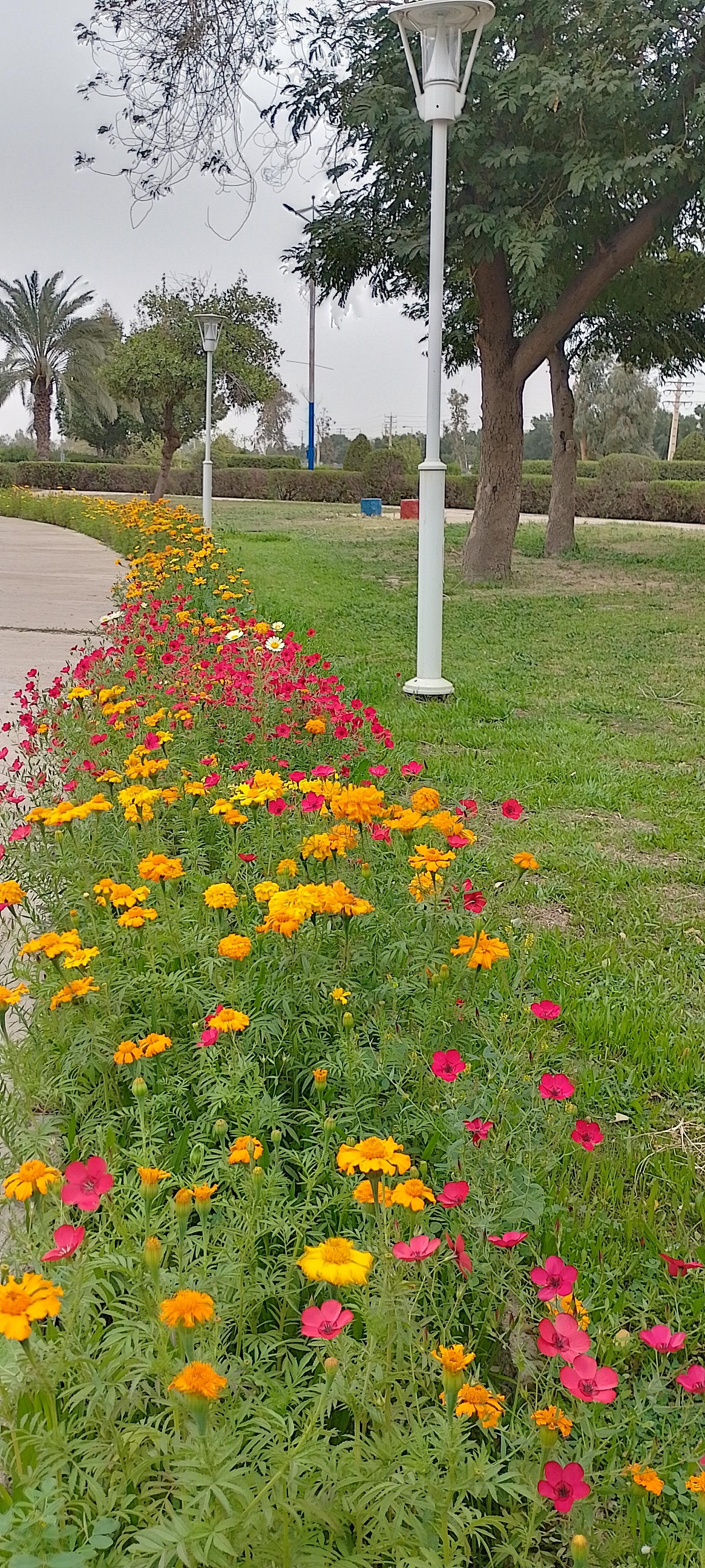 عکس پارک شهرک نفت