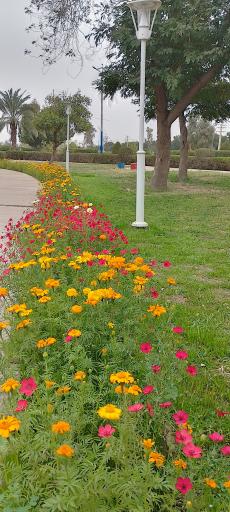 پارک شهرک نفت