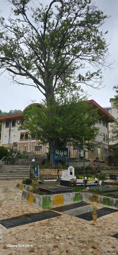 عکس امامزاده سید محمد