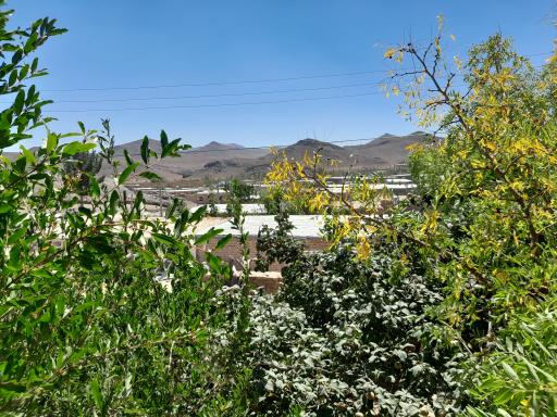 عکس سراب سفلی