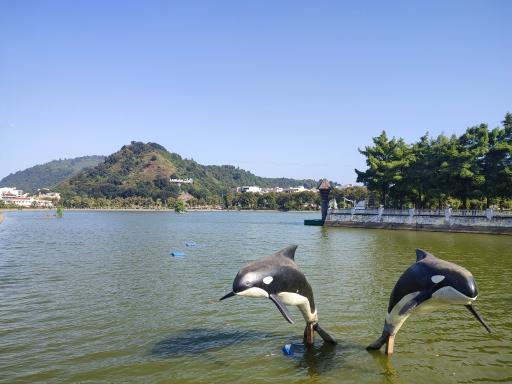 عکس دریاچه  لاهیجان