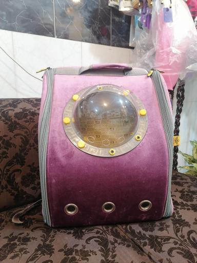 عکس پت شاپ چمنو