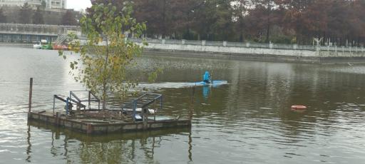 عکس دریاچه  لاهیجان