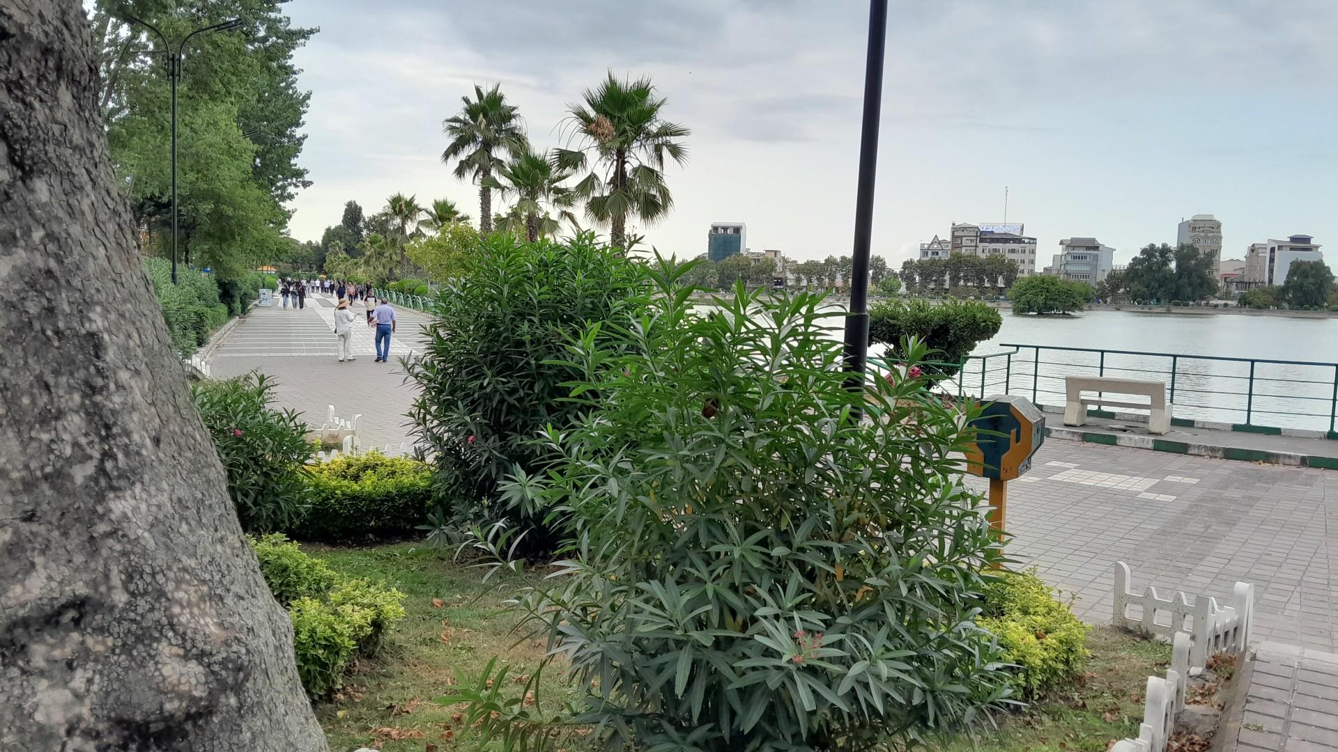 عکس دریاچه  لاهیجان