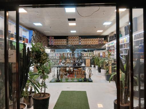 عکس دودین ییلاق