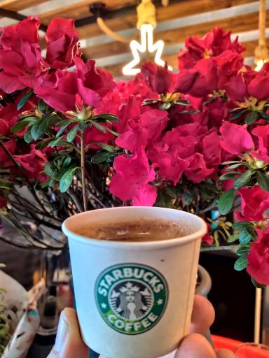 عکس قهوه بیالتی