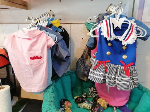 عکس پت شاپ چمنو