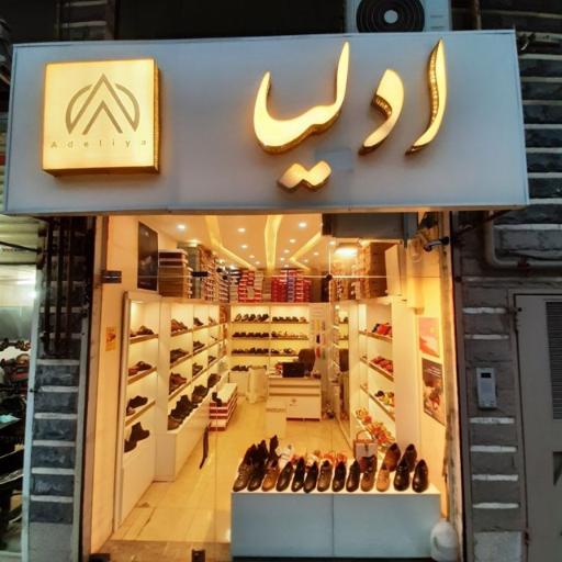 کفش طبی ادلیا