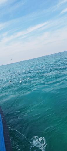 عکس اسکله بارگیری ماشین  جزیره کیش (لندینگ)