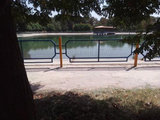 عکس دریاچه پارک قائم