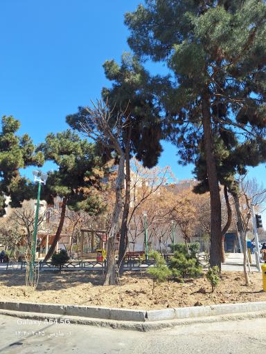 عکس میدان جعفری