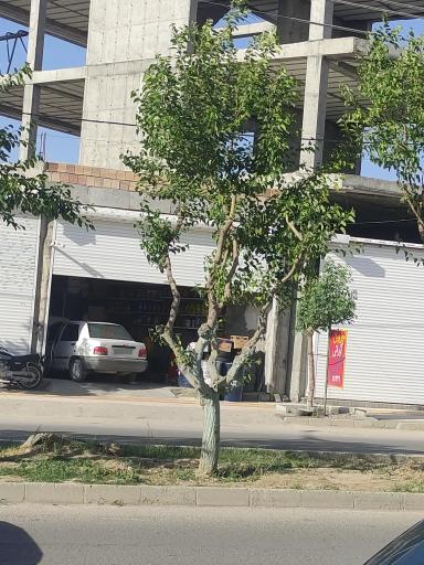 عکس تعویض روغنی آپاراتی غلامی